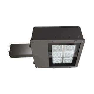 136 Watt 5000K LED Area Light Fixtures, 120-277V, Type V, Bronze, Motion/Daylight Sensor