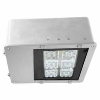 136 Watt 5000K LED Large Area High Fixture, 120-277V, Type V, White