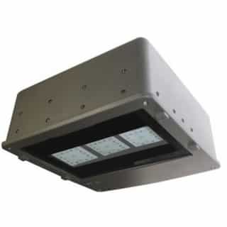 62 Watt 5000K LED Area Light Fixtures, 120-277V, Type V, Bronze, Photocontrol Receptacle