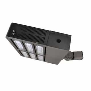 240W LED Shoebox Area Light w/Slip Fitter, 0-10V Dimmable, 25638 lm, 5000K, Bronze