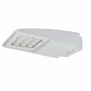 75W LED Area Light, Dimmable, White, 4000K
