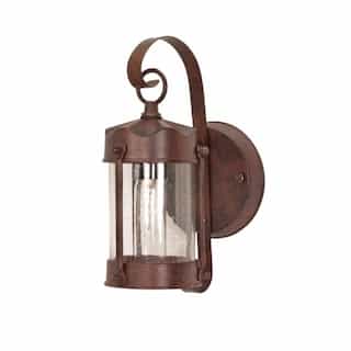60W Piper Outdoor Wall Fixture w/ Clear Seed Glass, 1 Light, Old Bronze