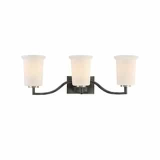 Nuvo 100W Chester Series Vanity Light w/ White Glass, 3 Lights, Iron Black & Brushed Nickel