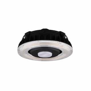 40W LED Canopy Fixture, 5293 lm, 100V-277V, Selectable CCT, Bronze