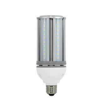 Satco 10W LED Corn Bulb, 30W HID Retrofit, E26, 1200 lm, 12V-24V, 5000K  (Satco S9753)
