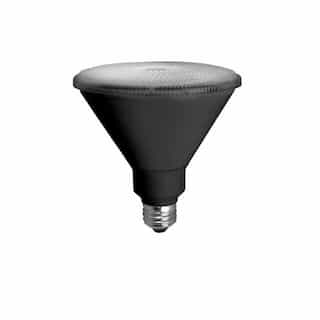 29W LED PAR38 Bulb, 2700K, 1900 Lumens, Black Finish