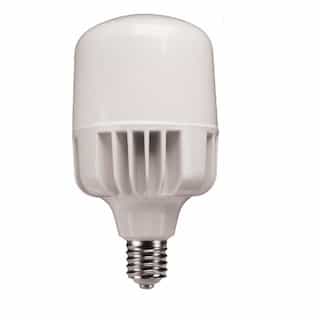 65W T-Shaped LED Corn Bulb, 250W MH/HID Retrofit, 9900 lm, 4000K