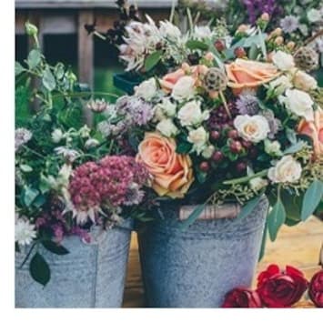 Flowers in Pail