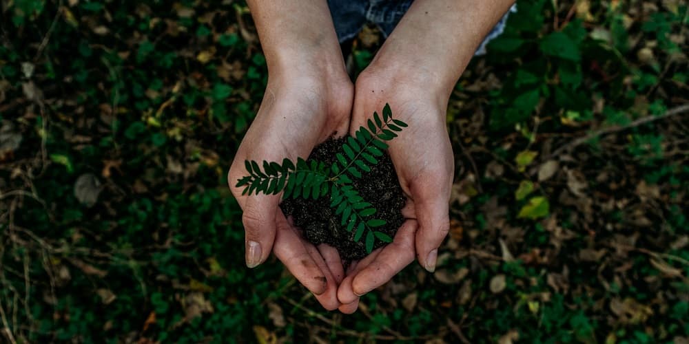 How To Create A Greener Work Environment