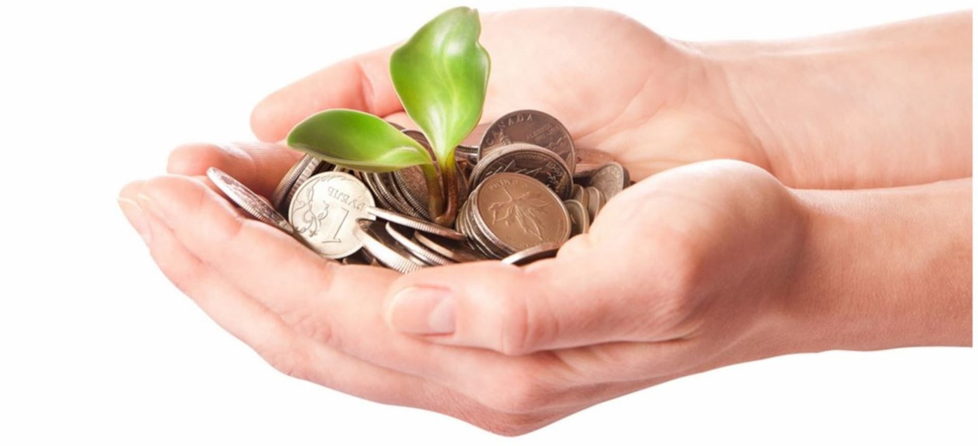 Energy Rebates Header