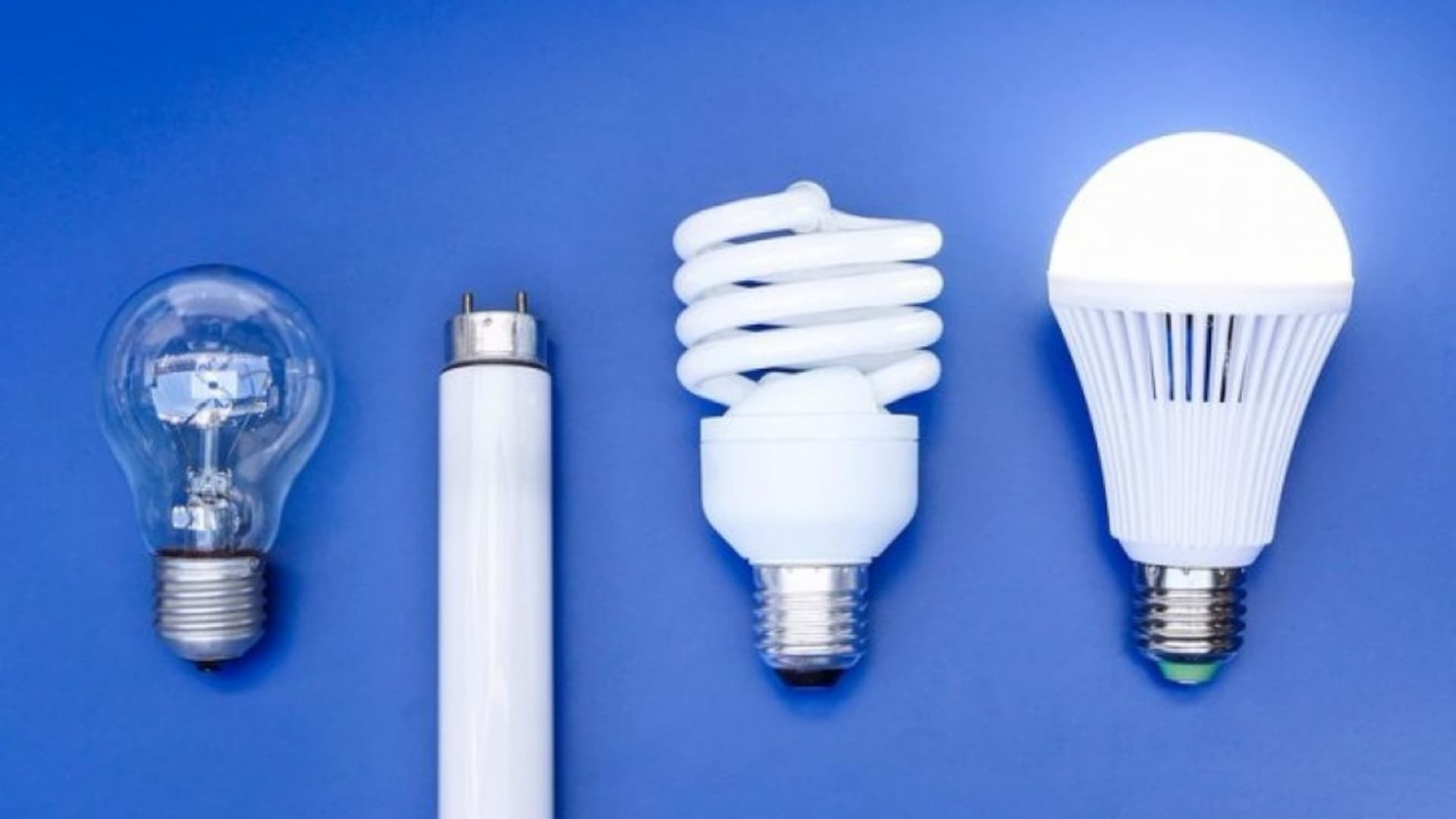 LED Light Bulbs