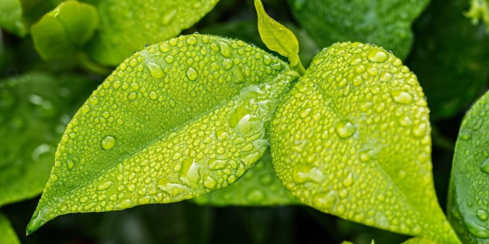 Ways to Reduce your Carbon Footprint: Office Buildings