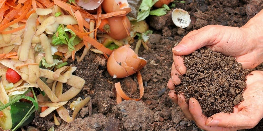 How to Make the Best Compost Pile