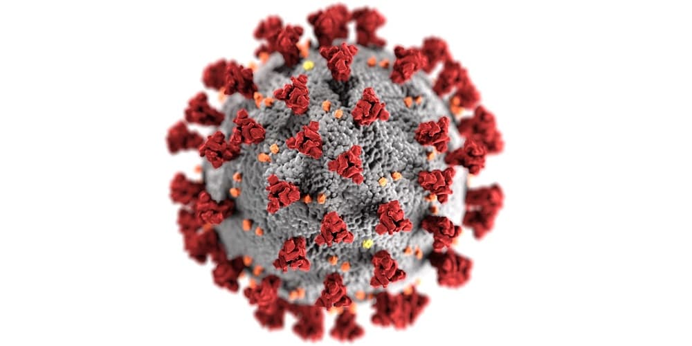 COVID-19 Vaccine: What Does This Mean for You?