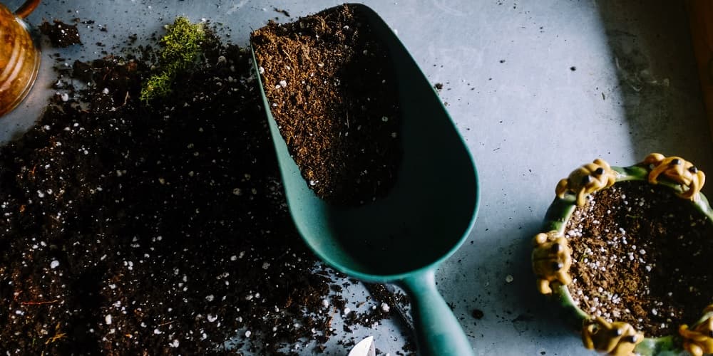 Gardening Tips and Life Hacks