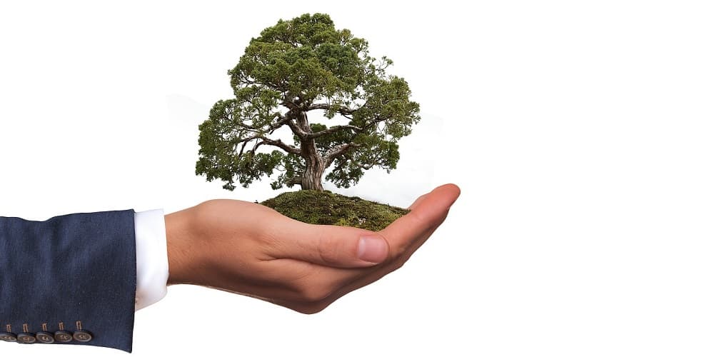 Green Seal: A Green Building and Eco-Friendly Product Certification Program