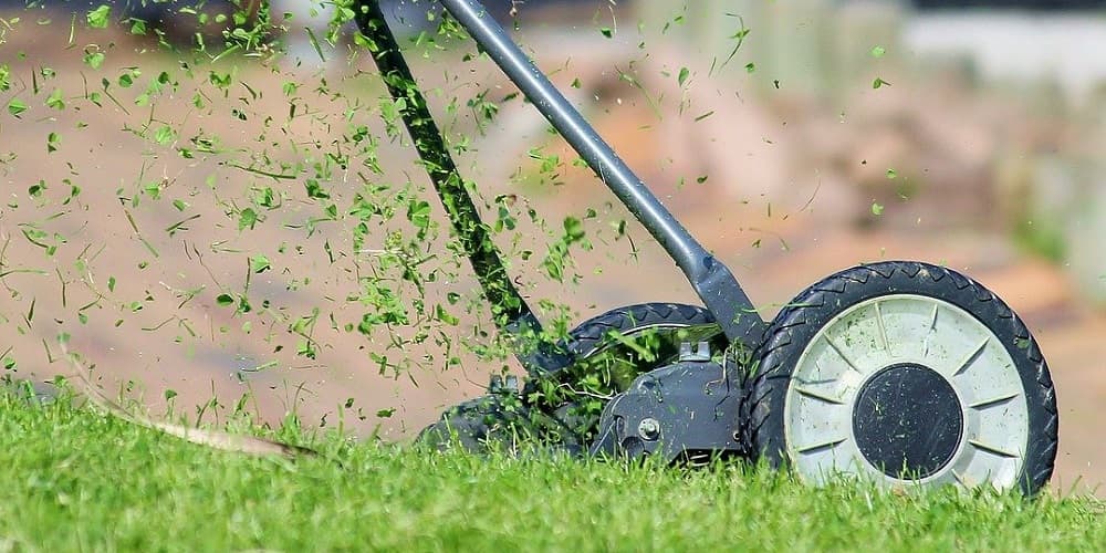 Landscape, Yard Maintenance, and Lawn Care Tips for the Fall