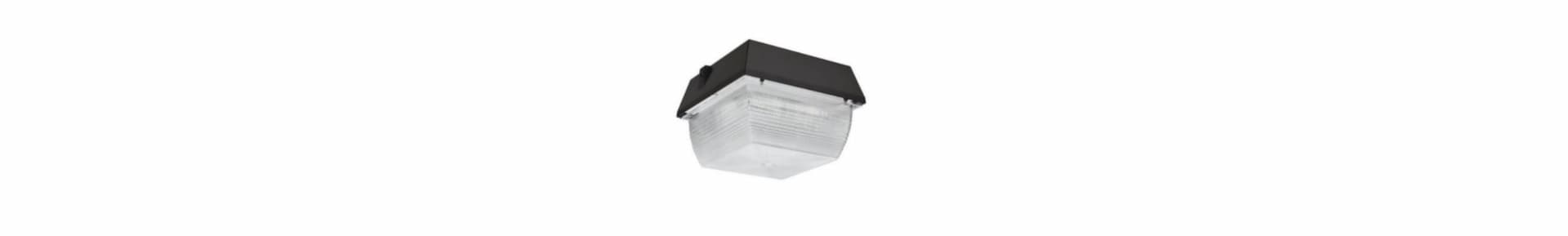 LED Canopy Light