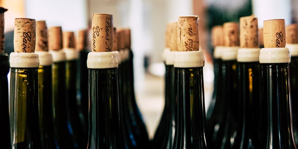 Best Places for Your Freestanding Wine Cooler