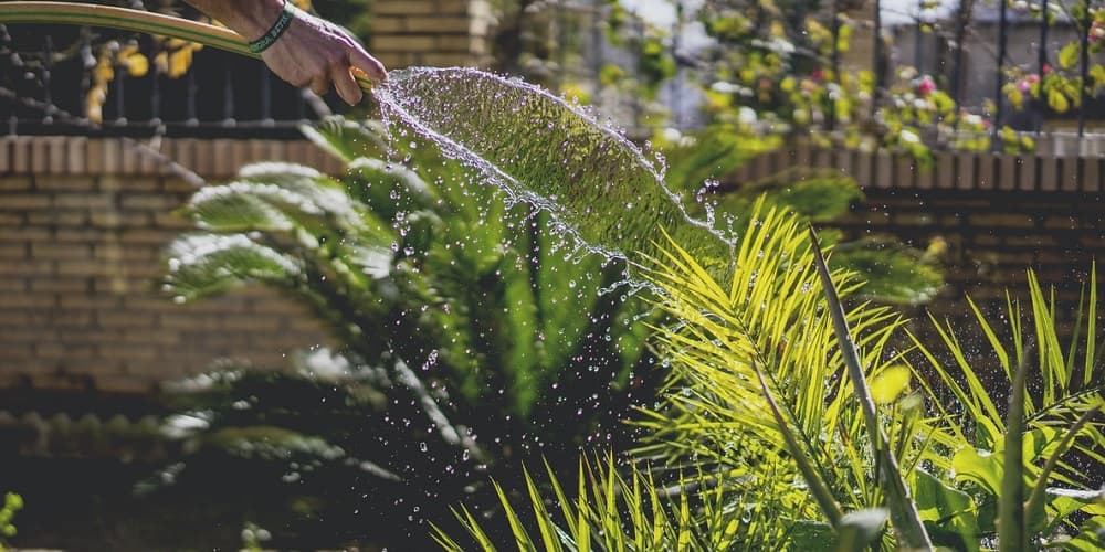 Gardening at HomElectrical