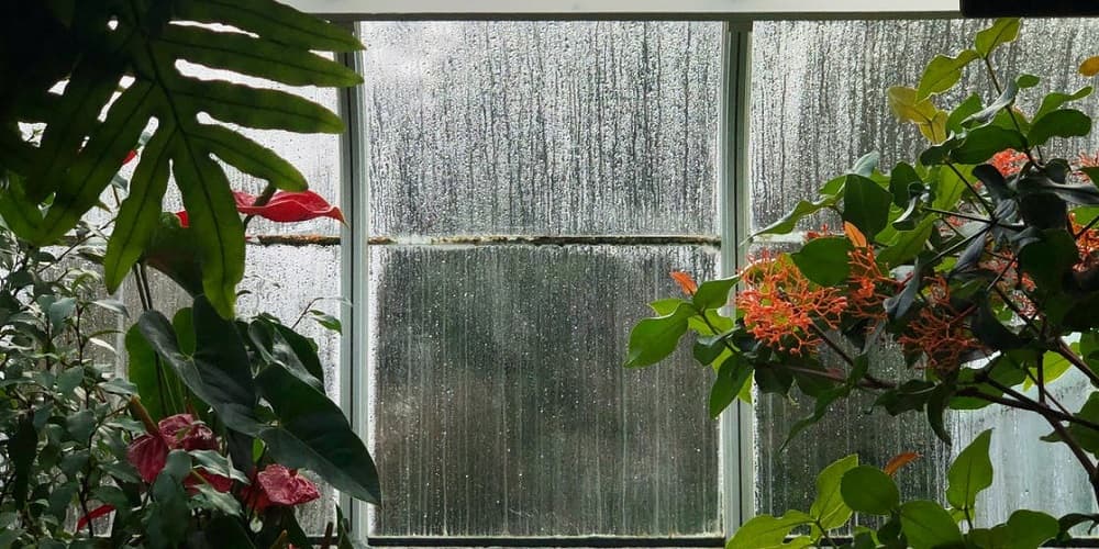 Greenhouse Heating Ventilation and Air Conditioning