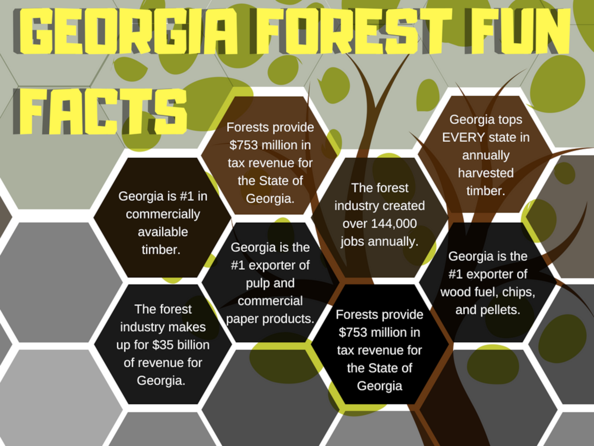 Georgia Forest Fun Facts