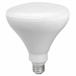 LED BR40 Bulb