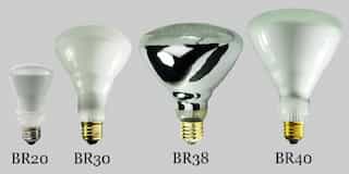 What is a LED BR Light Bulb?