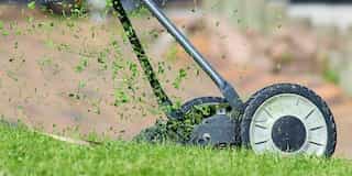 Landscape, Yard Maintenance, and Lawn Care Tips for the Fall