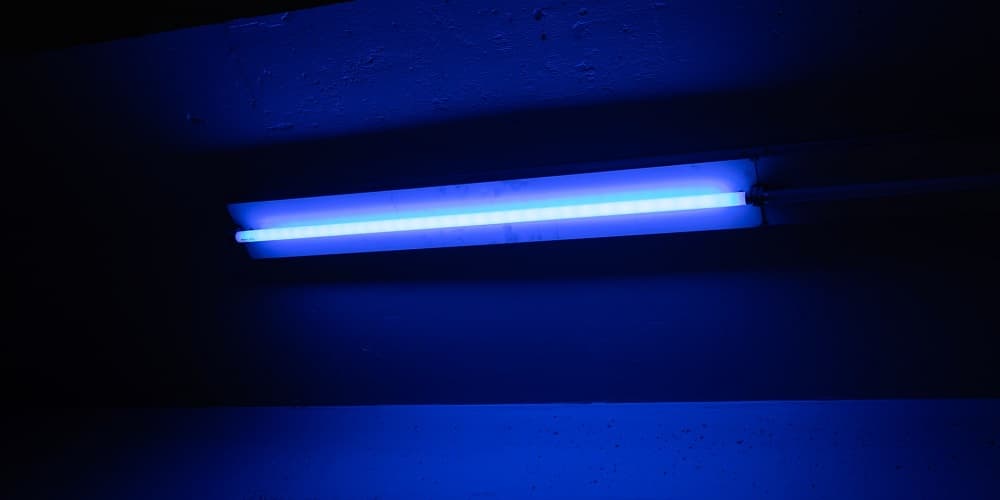 What to Know About UV Disinfection