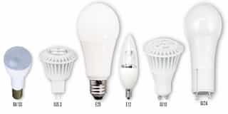 The Anatomy of the LED Light Bulb