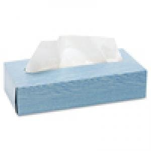 White, 100 Count 2-Ply Boxed Facial Tissue