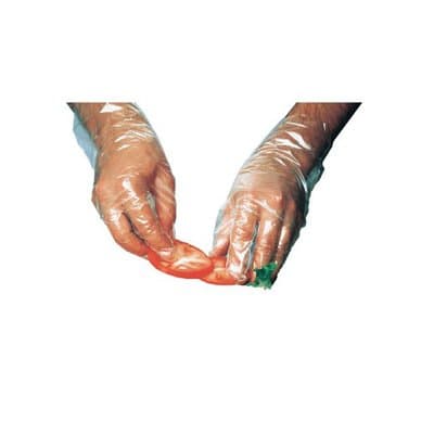 Large, 100 Count General Purpose Disposable Polyethylene Gloves
