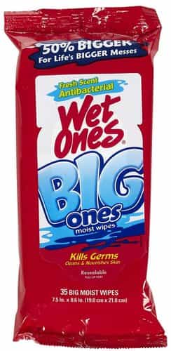 Wet Ones Big Ones Antibacterial Hand Wipes