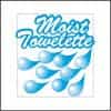 4x7 Fresh Nap Moist Towelettes, Case of 10