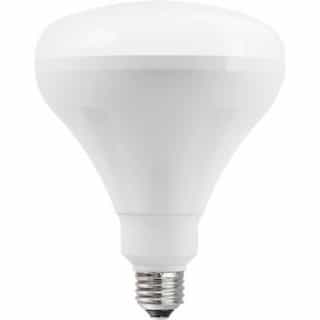 TCP Lighting 12W LED BR40 Bulb, Dimmable, E26, 1060 lm, 120V, 5000K