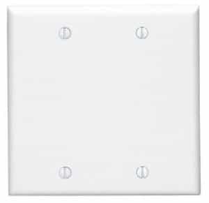 2-Gang Blank Plastic Wall Plate, White
