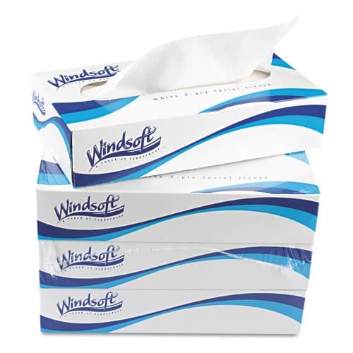 Windsoft Recycled 2-Ply Facial Tissue