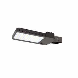 60W LED Slim Area Light w/ Trunnion, Type 4, 120V-277V, CCT Select