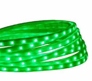 American Lighting 3.3-ft 4.8W/Ft LED Tape Rope Light Kit, Dimmable, 120V, Green