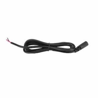 American Lighting 12" 2-Wire Adaptor for PS Plug-in Driver, Bare Wire to Male DC
