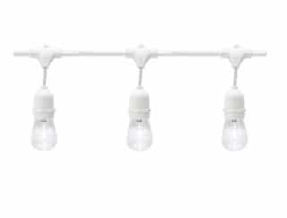 American Lighting 48 Foot E26 40W Max LED Suspended Cord and Plug White String Lights
