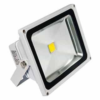 American Lighting 3000K 30W 100-277V Panorama Pro COB LED Floodlight, White