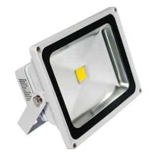 American Lighting 4500K 30W 100-277V Panorama Pro COB LED Floodlight, White