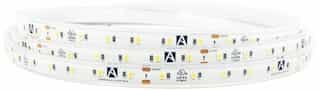 American Lighting 16.4-ft 4.6W/Ft Submersible Trulux LED Tape Light, IP68, 24V, RGB CCT