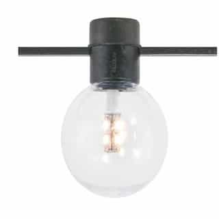 American Lighting 24WW LED Orbical Replacement Bulb for Festoon Light String