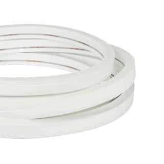 American Lighting 12-in Linking Cable for Neonflux Pro Strip Light, Lateral, 2-Pin