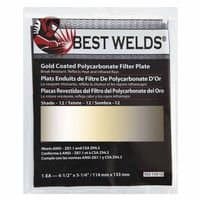 Gold Coated Polycarbonate Filter Plates