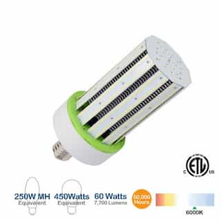 60W LED Corn Bulb, 7700 Lumens, 6000K, 450W Equivalent