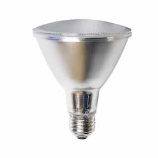 13W LED PAR30 Bulb, Long Neck, 75W Hal. Retrofit, Dimmable, E26, 800 lm, 5000K